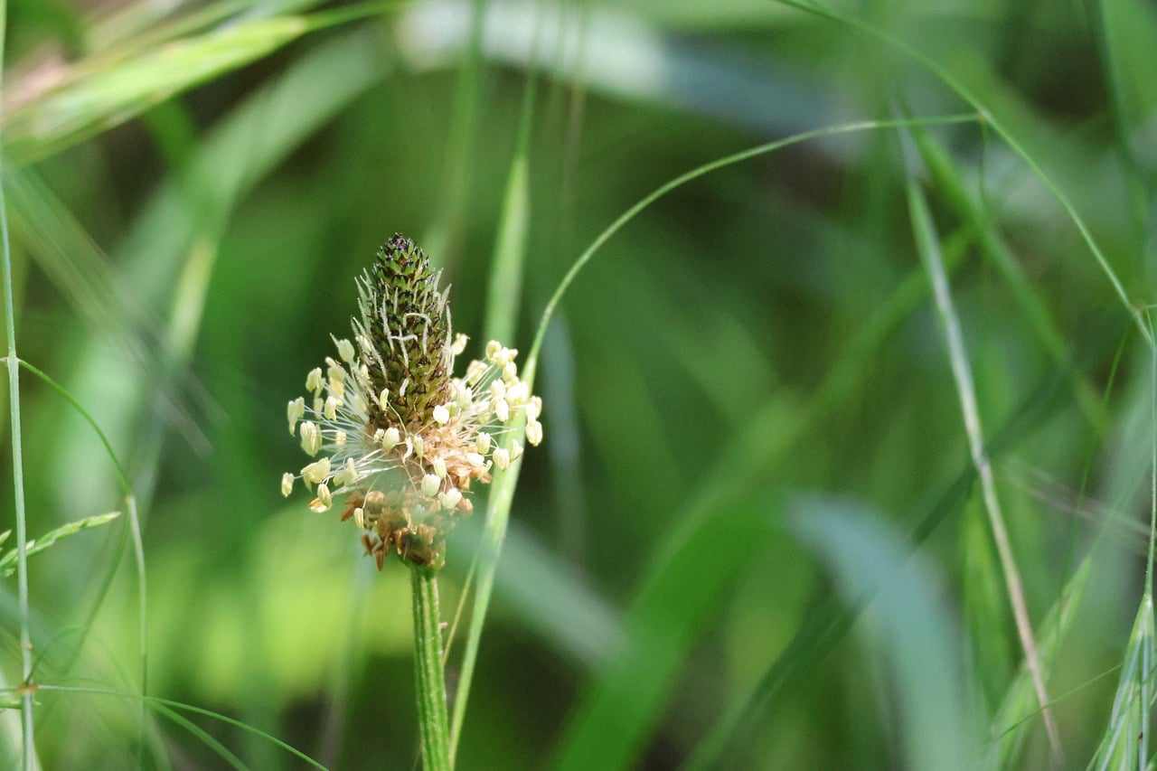 Imagem ilustrativa Receita Federal